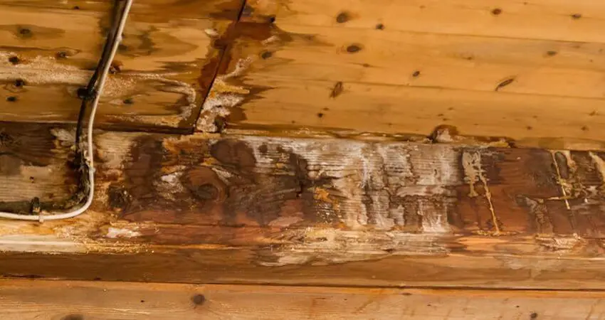 Water damage from roof leak